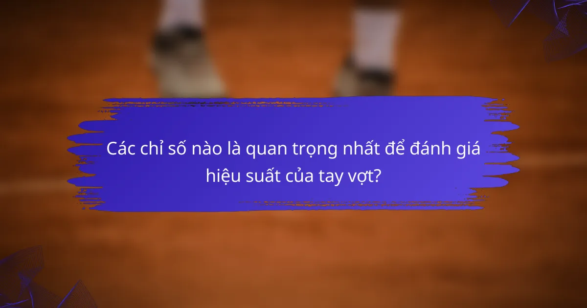 Các chỉ số nào là quan trọng nhất để đánh giá hiệu suất của tay vợt?