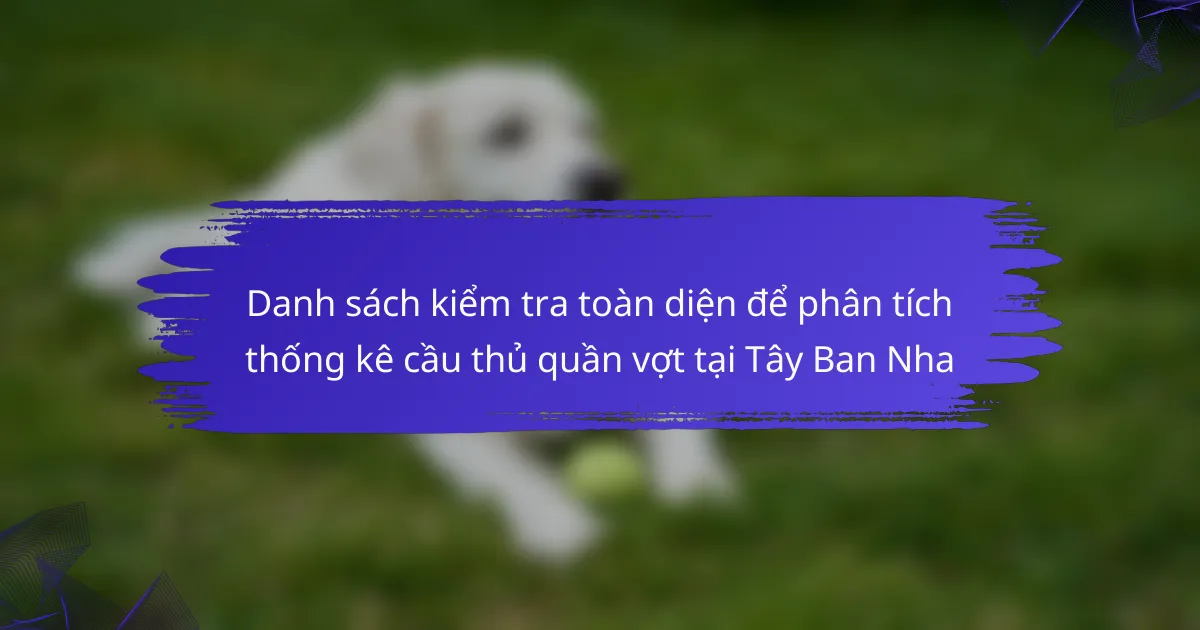 Danh sách kiểm tra toàn diện để phân tích thống kê cầu thủ quần vợt tại Tây Ban Nha
