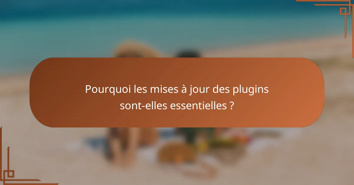 Pourquoi les mises à jour des plugins sont-elles essentielles ?