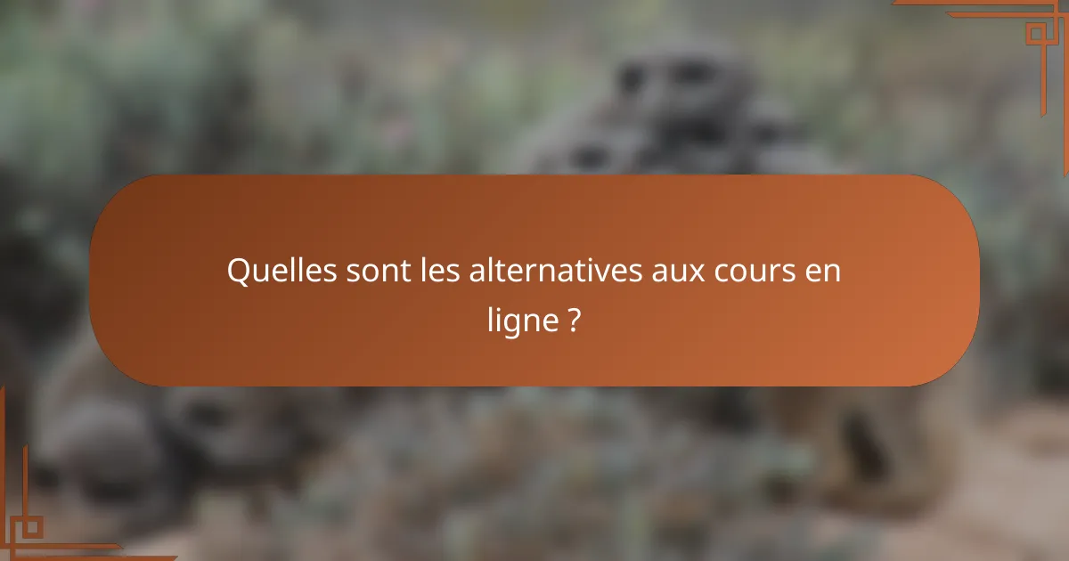 Quelles sont les alternatives aux cours en ligne ?