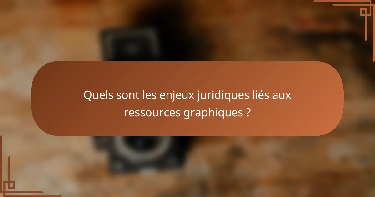 Quels sont les enjeux juridiques liés aux ressources graphiques ?