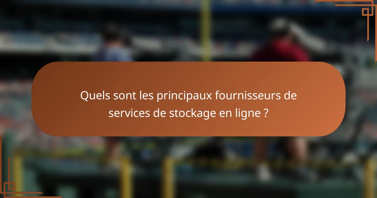 Quels sont les principaux fournisseurs de services de stockage en ligne ?